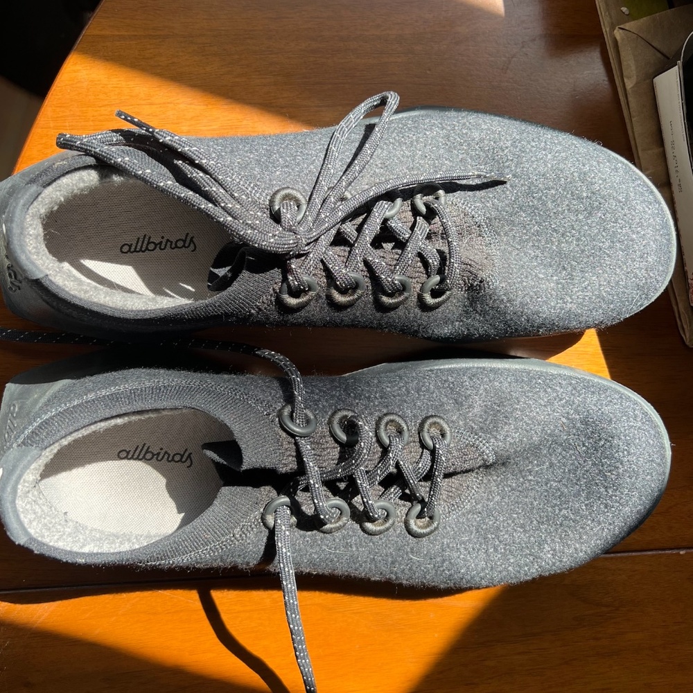 WD2 ALLBIRDS SNEAKERS ( 11.5 )